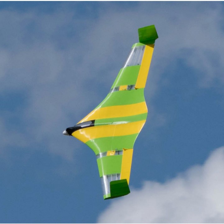 Flying Wing Buratinu